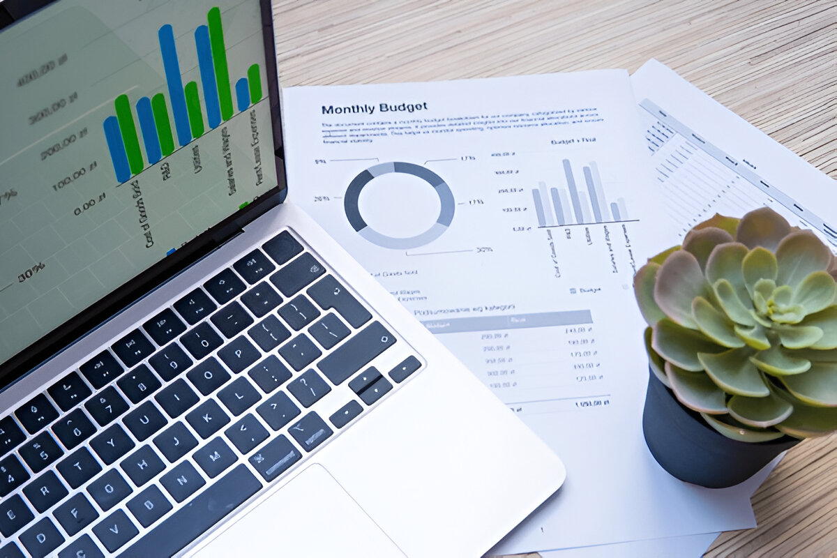 ACCOUNTING SOFTWARE MIGRATION AND SETUP