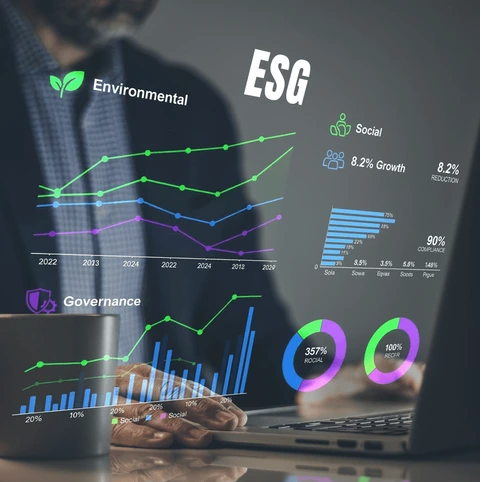 Business Performance Reports Braeside 2 1